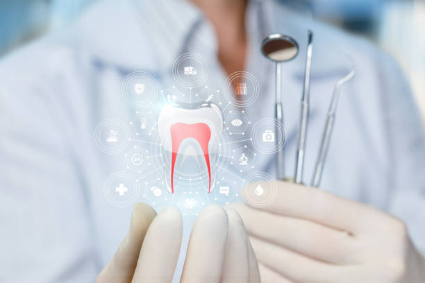 Best Full Mouth Reconstruction  in Scotia, NY